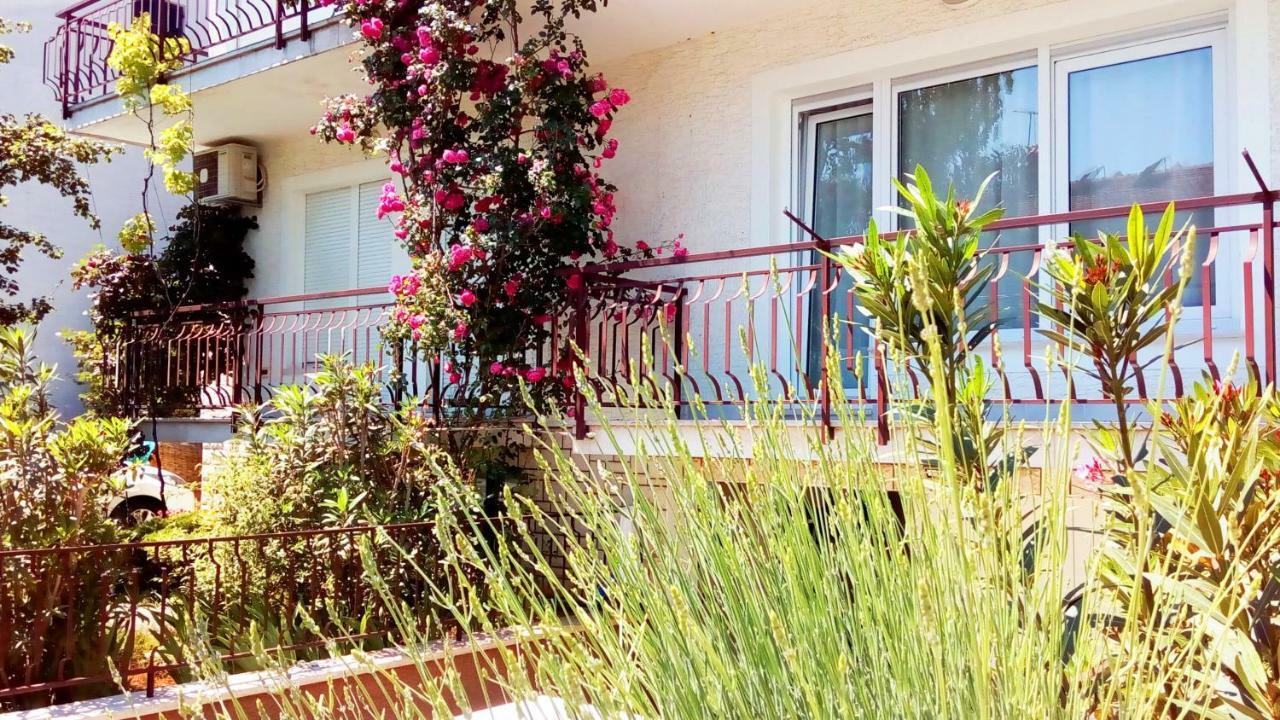 Apartmani Komunela Umag Exterior foto